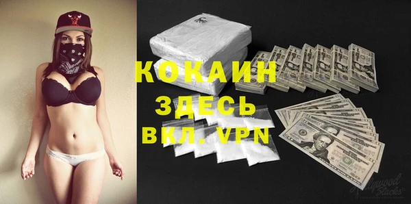 индика Нефтегорск