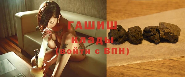 индика Нефтегорск