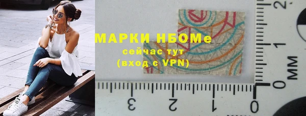 прущий лед Вяземский