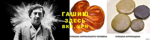 индика Нефтегорск