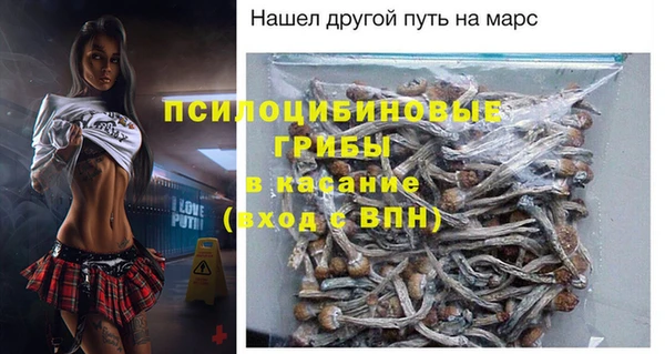 индика Нефтегорск