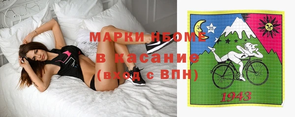индика Нефтегорск