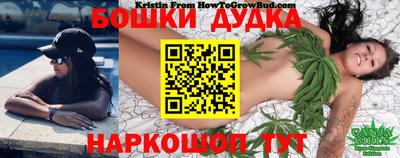 гашик Гусь-Хрустальный